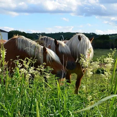 Grand Logis Des Chouettes, 5 Chambres, Proche De Verdun Et Ses Sites De La Grande Guerre