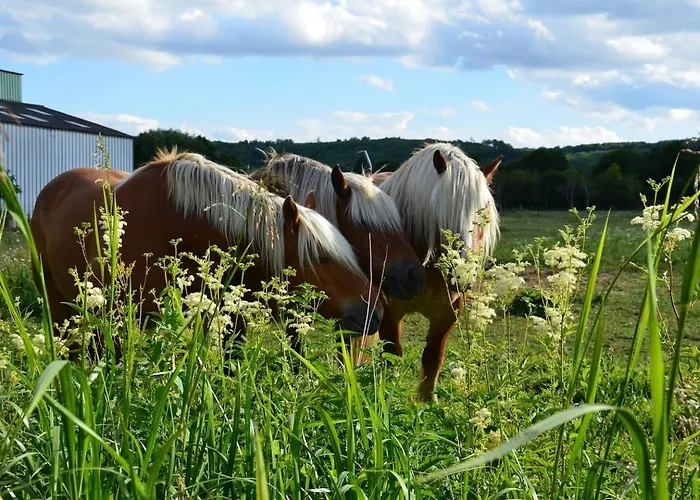 Grand Logis Des Chouettes, 5 Chambres, Proche De Verdun Et Ses Sites De La Grande Guerre