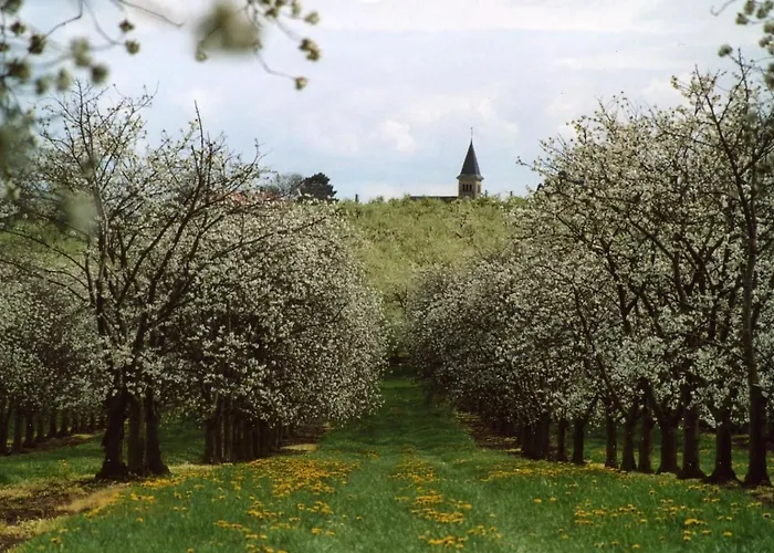 Tatil Evi Grand Logis Des Chouettes, 5 Chambres, Proche De Verdun Et Ses Sites De La Grande Guerre Chatillon-sous-les-Cotes