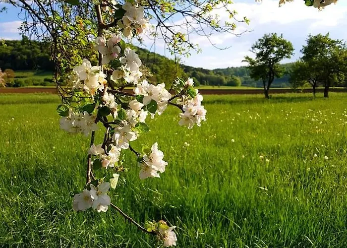 Grand Logis Des Chouettes, 5 Chambres, Proche De Verdun Et Ses Sites De La Grande Guerre